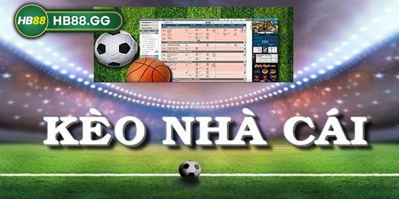  Soi kèo nhà cái HB88 với 2 hình thức cược chính là cửa trên và cửa dưới 