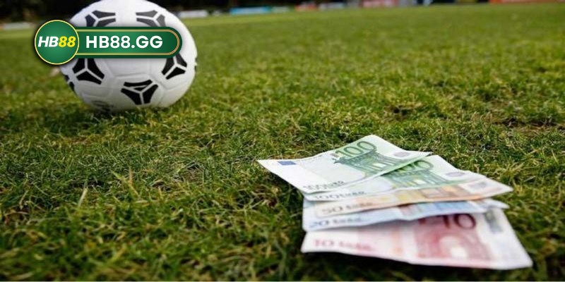 Chọn các giải đấu am hiểu để chơi kèo handicap tại trang web hàng đầu HB88